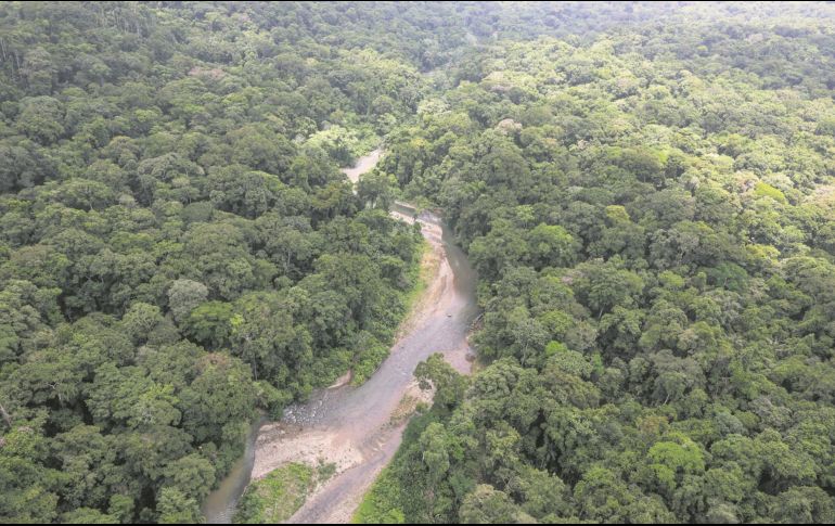 La selva del Darién es la línea fronteriza entre Panamá y Colombia. EFE