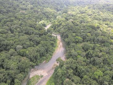 La selva del Darién es la línea fronteriza entre Panamá y Colombia. EFE