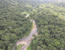La selva del Darién es la línea fronteriza entre Panamá y Colombia. EFE