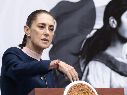 Las declaraciones de la Presidenta ocurren después de que medios mexicanos reportaran que autoridades argentinas autorizaron el traslado del contralmirante hacia México. EFE / J. Méndez
