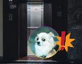 El desplome de un elevador en nuestra época es casi imposible que suceda debido a los avances tecnológicos y mecánicos involucrados en el funcionamiento de estos. UNSPLASH / A. Sibikumar / M. Tresmer