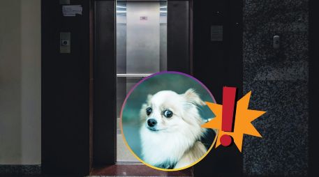 El desplome de un elevador en nuestra época es casi imposible que suceda debido a los avances tecnológicos y mecánicos involucrados en el funcionamiento de estos. UNSPLASH / A. Sibikumar / M. Tresmer
