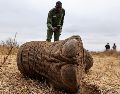 Lesidai Kipelian, guardabosques comunitario fotografía los restos de Genghis Khan, un elefante macho de 11 años, en la reserva comunitaria Kitenden B, en las afueras del Parque Nacional de Amboseli. EFE/D. IRUNGU