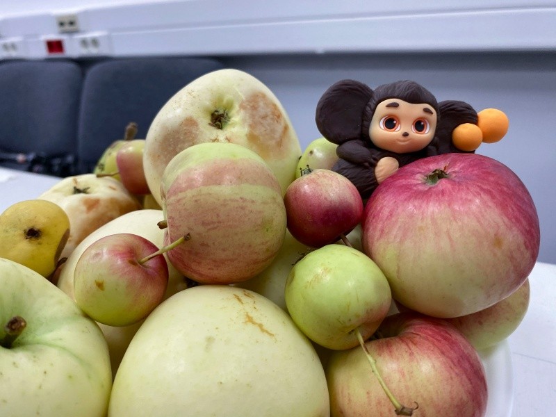 Cheburashka saltó a la fama de la mano del ilustrador y animador ruso Leonid Shvartsman. EFE/ A. Janbabian
