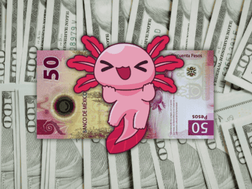 La cotización interbancaria se ubicó en un promedio de 16.90 pesos mexicanos por unidad, lo que representa una disminución del 0.32 por ciento en comparación con el precio de cierre de la jornada anterior. ESPECIAL / CANVA