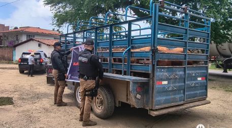 La camioneta, el remolque y las seis cabezas de ganado fueron trasladados a las instalaciones de la Asociación Ganadera de Mascota. CORTESÍA
