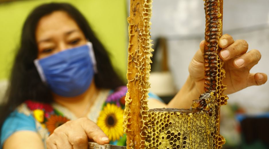 Jalisco es uno de los principales estados productores de miel en México. XINHUA/ARCHIVO