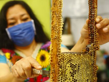 Jalisco es uno de los principales estados productores de miel en México. XINHUA/ARCHIVO