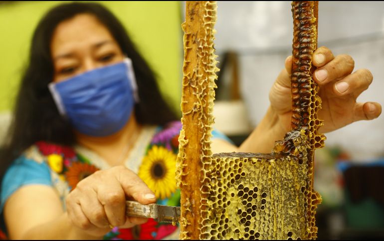 Jalisco es uno de los principales estados productores de miel en México. XINHUA/ARCHIVO