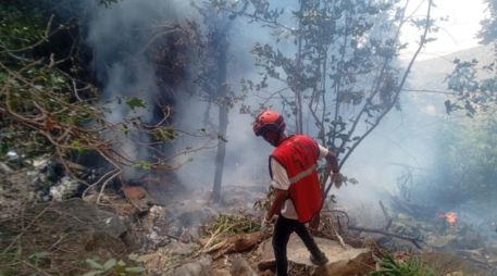 Este siniestro marca el segundo accidente mortal de helicóptero de gran magnitud en el país durante el 2026, pues en febrero un legislador figuró entre las seis personas que perdieron la vida luego de que otro helicóptero se estrellara en una zona montañosa del oeste de Kenia. EFE/ARCHIVO