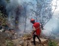 Este siniestro marca el segundo accidente mortal de helicóptero de gran magnitud en el país durante el 2026, pues en febrero un legislador figuró entre las seis personas que perdieron la vida luego de que otro helicóptero se estrellara en una zona montañosa del oeste de Kenia. EFE/ARCHIVO