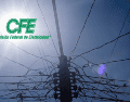 La Comisión indicó que las labores forman parte de las acciones preventivas para conservar en condiciones adecuadas la infraestructura eléctrica. EL INFORMADOR / ARCHIVO / CANVA