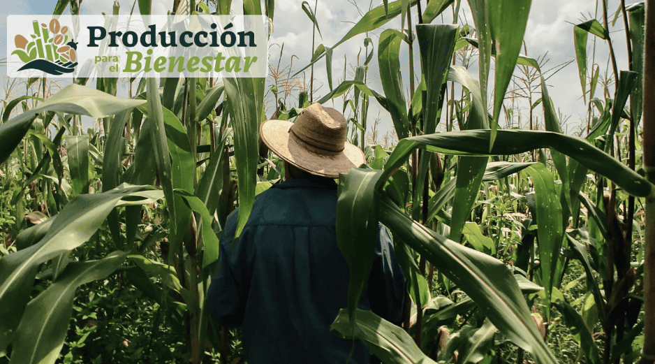 Para incorporarse al programa es necesario cumplir con los criterios establecidos por las autoridades. UNSPLASH / CANVA