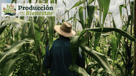 Para incorporarse al programa es necesario cumplir con los criterios establecidos por las autoridades. UNSPLASH / CANVA