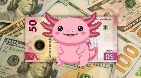 La moneda nacional ha demostrado una gran resiliencia, pero dependerá de los próximos movimientos de los bancos centrales para mantener esta racha ganadora. ESPECIAL / CANVA