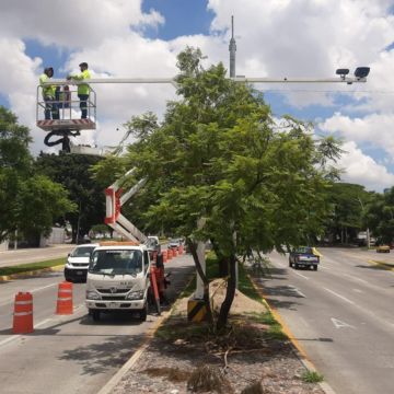 Durante las próximas semanas se instalará también el señalamiento preventivo en tres puntos restantes, completando el corredor Lázaro Cárdenas-Carretera. ESPECIAL