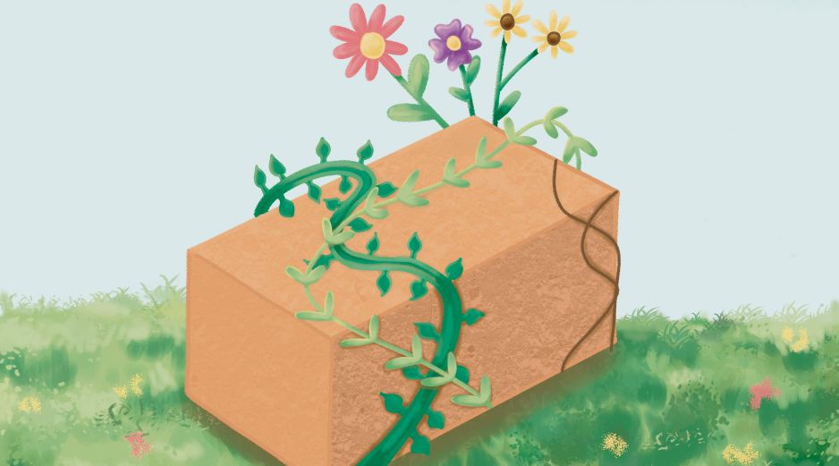Las bioconstrucciones incluyen analizar el sitio, el clima y las dinámicas de la comunidad para crear hogares armónicos. CORTESÍA/Aranza Rodríguez