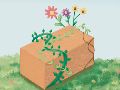 Las bioconstrucciones incluyen analizar el sitio, el clima y las dinámicas de la comunidad para crear hogares armónicos. CORTESÍA/Aranza Rodríguez