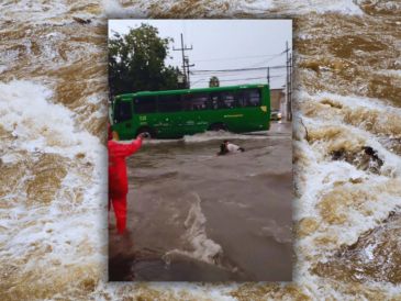 En la popular colonia Lomas de Polanco, específicamente en el cruce de la calle Joaquín Martínez Chavarría y la Avenida 8 de Julio, la situación se salió de control. ESPECIAL