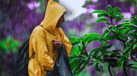 No olvides revisar las actualizaciones diarias del clima antes de planear actividades al aire libre. ESPECIAL / CANVA