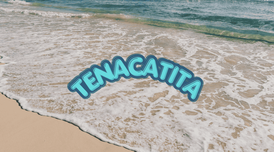 Esta playa de Jalisco luce una arena dorada y suave, que contrasta con las tonalidades verdes y azuladas del océano. ESPECIAL/Canva