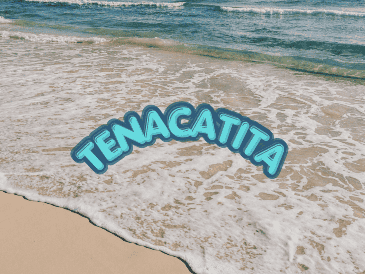 Esta playa de Jalisco luce una arena dorada y suave, que contrasta con las tonalidades verdes y azuladas del océano. ESPECIAL/Canva