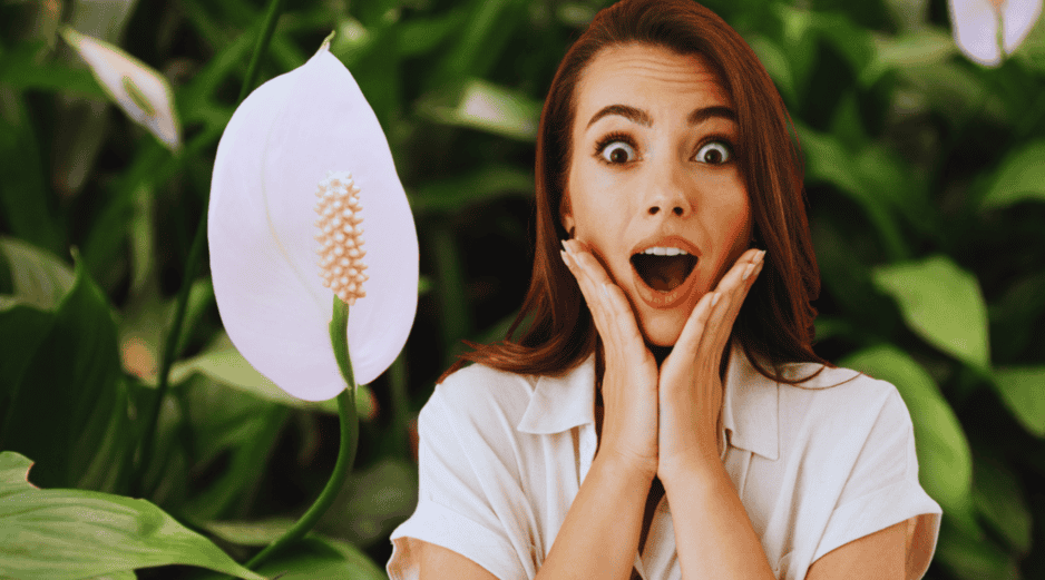 Integrar la naturaleza en el diseño del hogar no solo embellece los espacios vacíos, sino que transforma por completo el microclima interior. ESPECIAL / CANVA