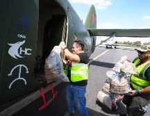 Earth Army ha lanzado más de un millón de bombas de semilla creadas por dependencias municipales de Tlajomulco. EL INFORMADOR/J. Acosta