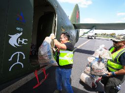 Earth Army ha lanzado más de un millón de bombas de semilla creadas por dependencias municipales de Tlajomulco. EL INFORMADOR/J. Acosta