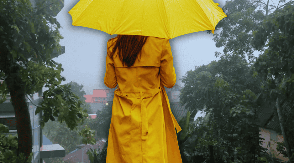 Además de la zona Centro, las lluvias intensas afectarán a la Ciénega, Altos Sur, Valles, Lagunas, Costa Norte y la Región Serrana de Jalisco. ESPECIAL  CANVA