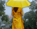 Además de la zona Centro, las lluvias intensas afectarán a la Ciénega, Altos Sur, Valles, Lagunas, Costa Norte y la Región Serrana de Jalisco. ESPECIAL  CANVA