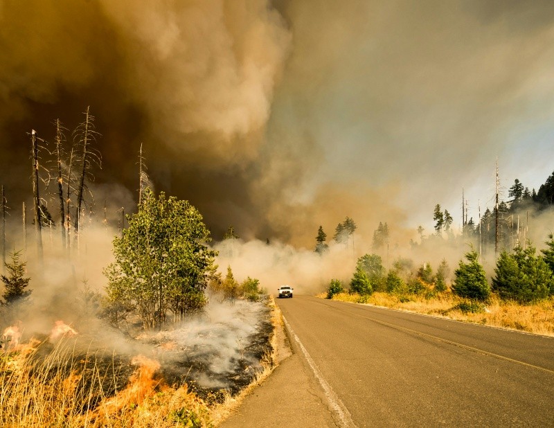 El incendio tuvo condiciones favorables para crecer este lunes y martes. UNSPLASH&nbsp;