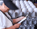 Especialista explica los motivos detrás del encarecimiento del blanquillo y las regiones del país donde el kilogramo supera los 80 pesos durante agosto de 2026. EL INFORMADOR/ARCHIVO