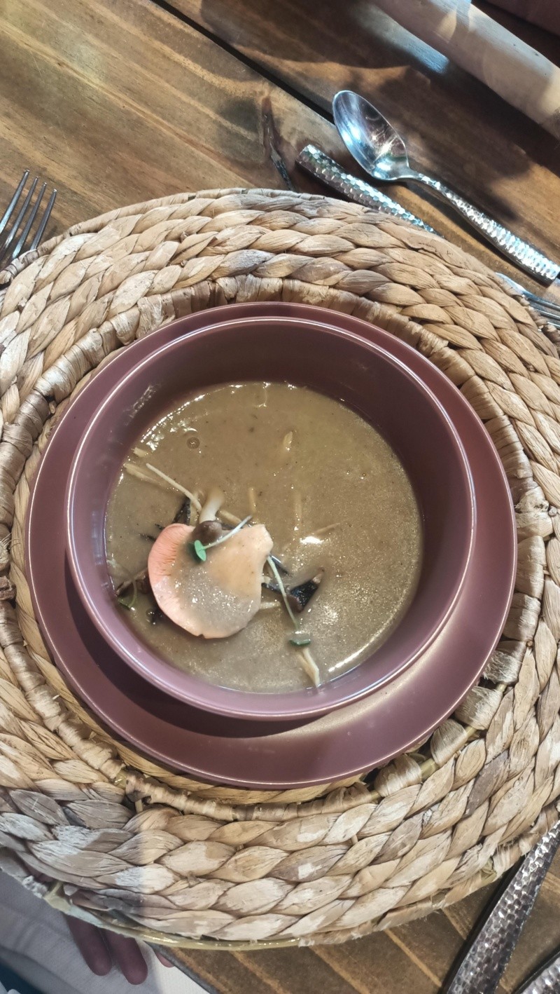 &nbsp;La tarde inició con una deliciosa sopa de hongos / Foto: Cortesía