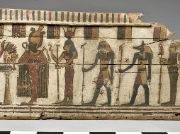 El caso más destacado es el de la moringa, cuyo árbol se consideraba una de las encarnaciones o manifestaciones del dios Ptah. EFE