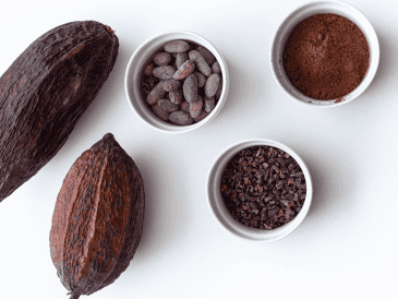 La diferencia entre ambos productos no es solo una cuestión de marketing, sino una alteración química profunda que afecta directamente la calidad de nuestra alimentación diaria. CANVA