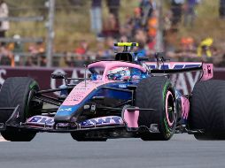 Franco Colapinto al volante de su Alpine en las prácticas del Gran Premio de los Países Bajos, el viernes 21 de agosto de 2026, en Zandvoort. AP/D. Bandic