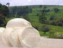 Además de su producción de lácteos, el municipio destaca por su riqueza natural. Cuenta con alrededor de 2 mil 500 hectáreas de bosque, donde predominan especies de pino y encino. ESPECIAL / EL INFORMADOR y CANVA