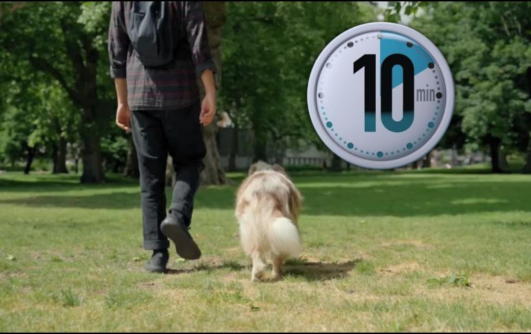 Durante esos valiosos 10 minutos, puedes caminar por un parque cercano, regar las plantas de tu hogar, meditar o simplemente sentarte en silencio. ESPECIAL / CANVA
