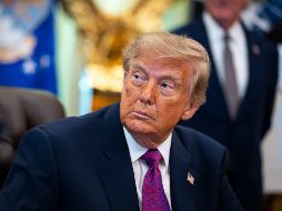 Trump ha tomado otras decisiones que limitan en general la inmigración. EFE / A. DRAGO