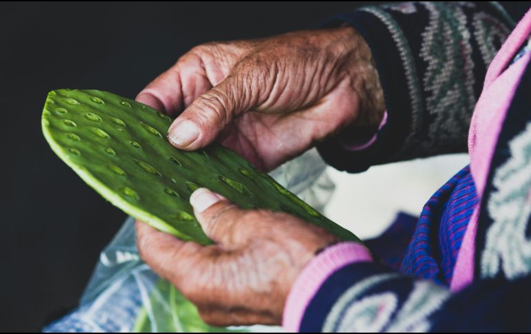 Los participantes deberán desespinar 30 piezas de nopal en el menor tiempo posible. UNSPLASH