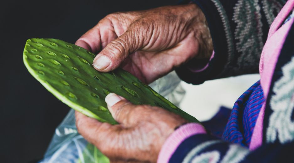 Los participantes deberán desespinar 30 piezas de nopal en el menor tiempo posible. UNSPLASH