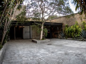 Rock & Paws se realizará en Guitar Maniax, en Manuel Acuña 226, Guadalajara Centro, con adopciones, actividades y apoyo a refugios. CORTESÍA.