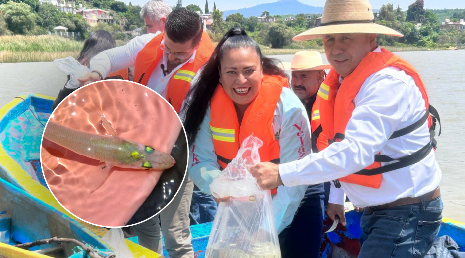 La producción de pescado blanco en la reserva se realizaba de forma artesanal y directamente en el lago. GOBIERNO DE MICHOACAN / ESPECIAL