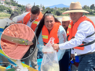 La producción de pescado blanco en la reserva se realizaba de forma artesanal y directamente en el lago. GOBIERNO DE MICHOACAN / ESPECIAL