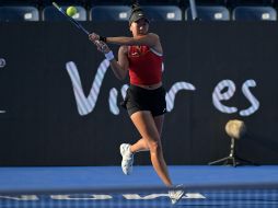 El Abierto de Monterrey pasó de ser un Challenger a instalarse en la élite del circuito como categoría 500. EFE / M. SIERRA