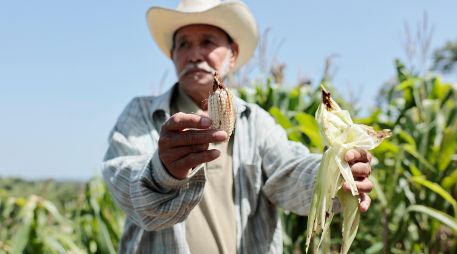Las autoridades locales confirmaron al menos 14 récords de temperatura durante el mes de agosto. EFE / R. Sura