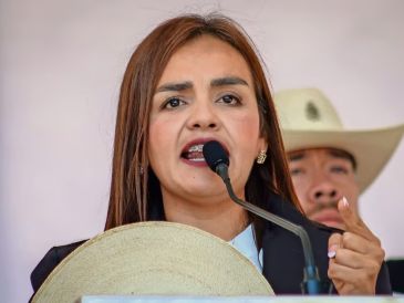 "Si algún día me pasa algo, si pretenden silenciarme o quitarme del camino, esta bandera no se va a caer", dijo Quiroz en su mensaje. SUN/L. Camacho