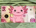 Al cierre del viernes 28 de agosto de 2026, el precio del dólar en ventanillas superó con creces el nivel interbancario. ESPECIAL / CANVA