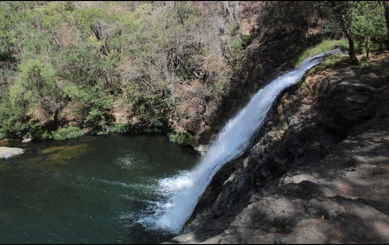Conoce el Salto de Nogal, uno de los espectáculos naturales de Jalisco. ESPECIAL / Gobierno de Jalisco